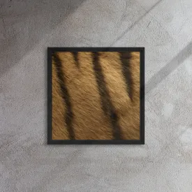 Bronze Tiger Artwork Framed Canvas Print
