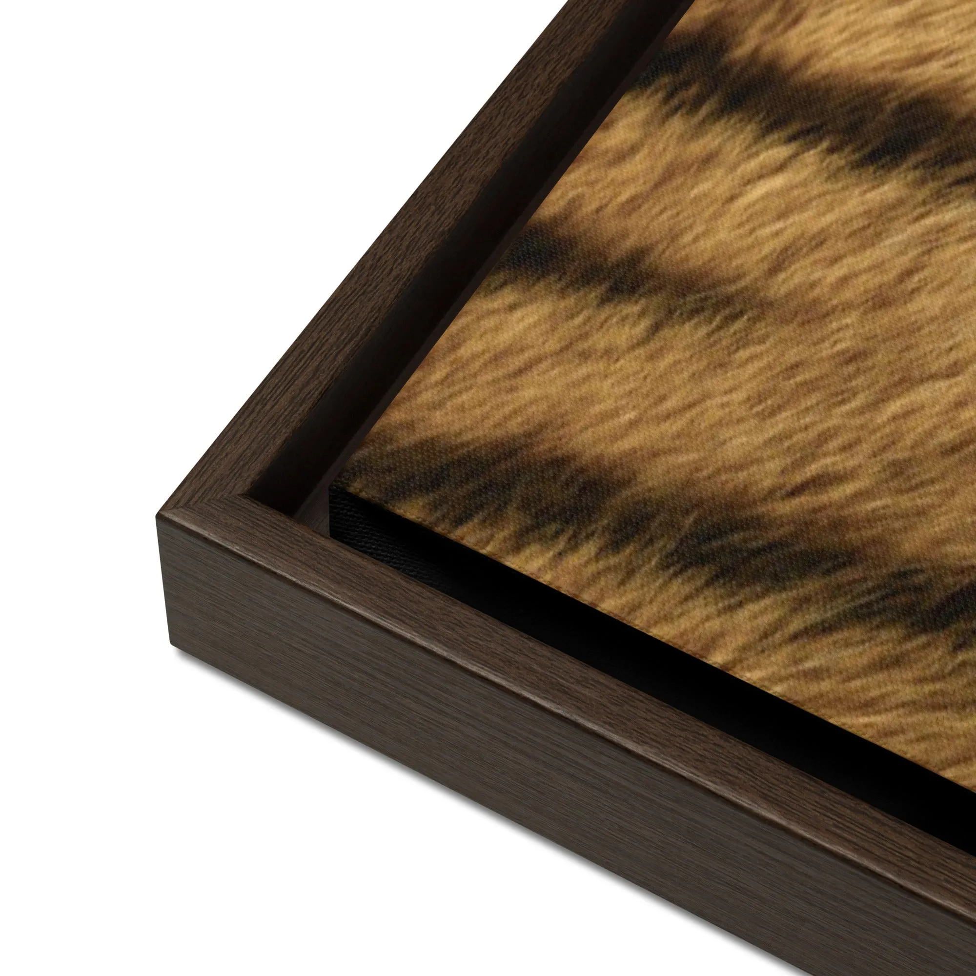 Bronze Tiger Artwork Framed Canvas Print