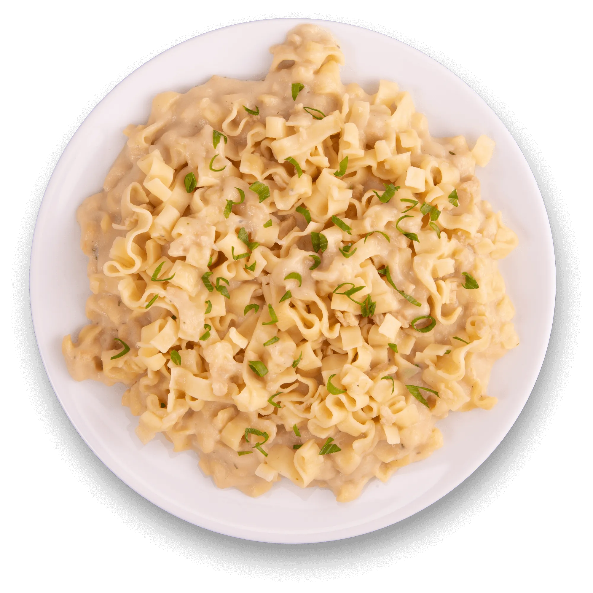 Emergency Food Favorite - Savory Stroganoff (5 x 4 Serving Pouches)
