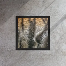 Tiger Artwork Framed Canvas Print