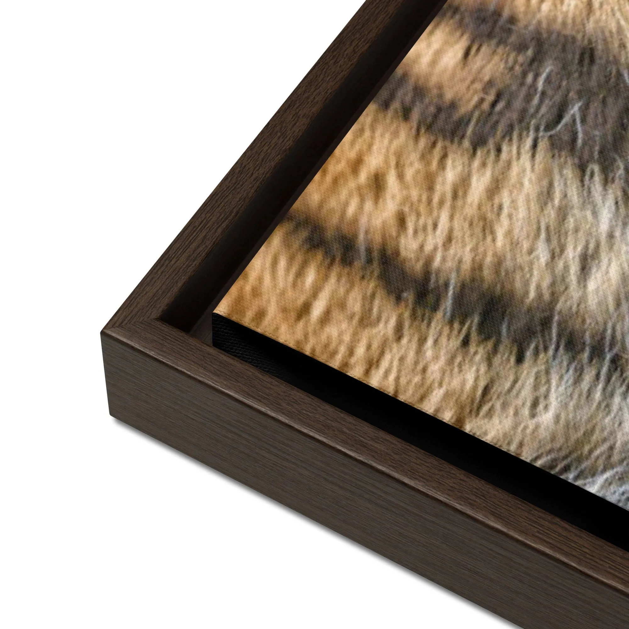 Tiger Artwork Framed Canvas Print